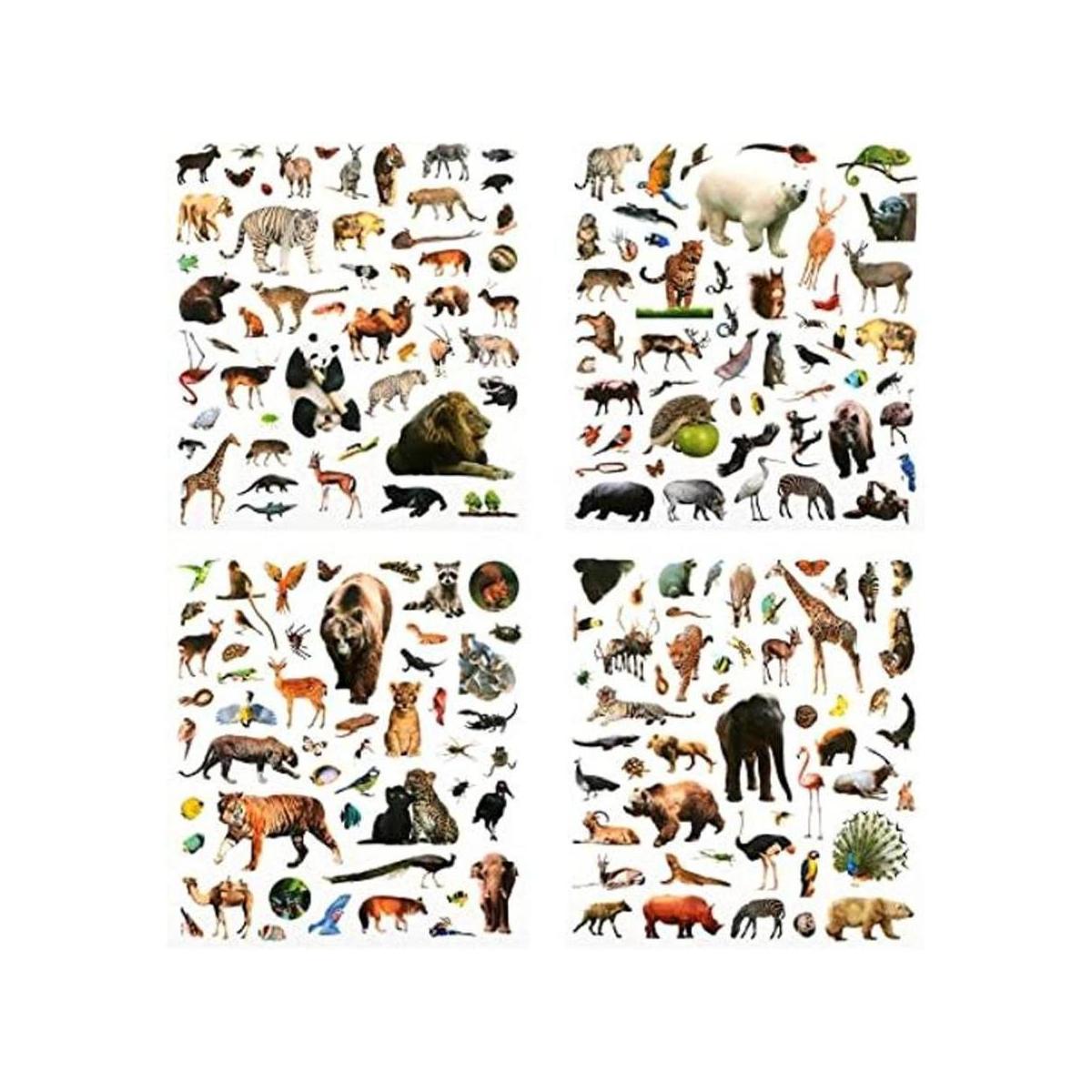 800 calcomanías de animales de la selva realistas