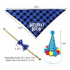 Suministros de fiesta de cumpleaños para perros