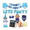 Suministros de fiesta de cumpleaños para perros