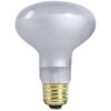 3 Pack Zilla terrario Reptil Calor Lamps Foco foco_2