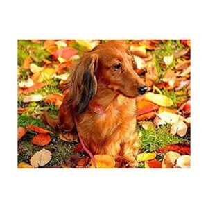 Zimal 5D DIY Pintura de diamante animal perro perro_1