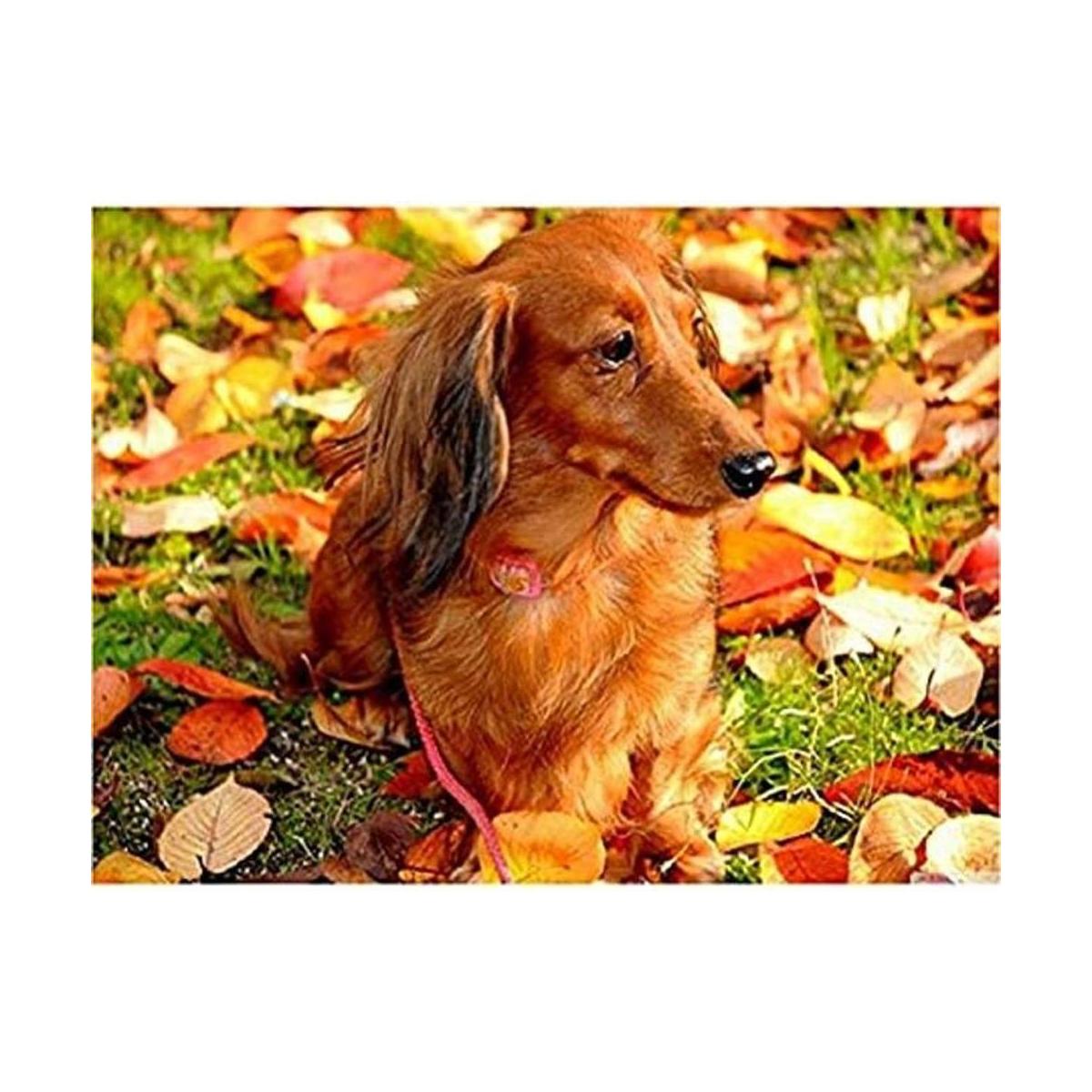 Zimal 5D DIY Pintura de diamante animal perro perro