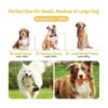 Zeaxuie Juguetes resistentes de lujo para perros