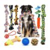 Zeaxuie Juguetes resistentes de lujo para perros