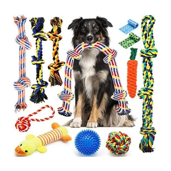 Zeaxuie Juguetes resistentes de lujo para perros