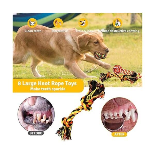 Zeaxuie Juguetes resistentes de lujo para perros