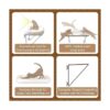 Zakkart Percha para ventana de gato para gatos de_5