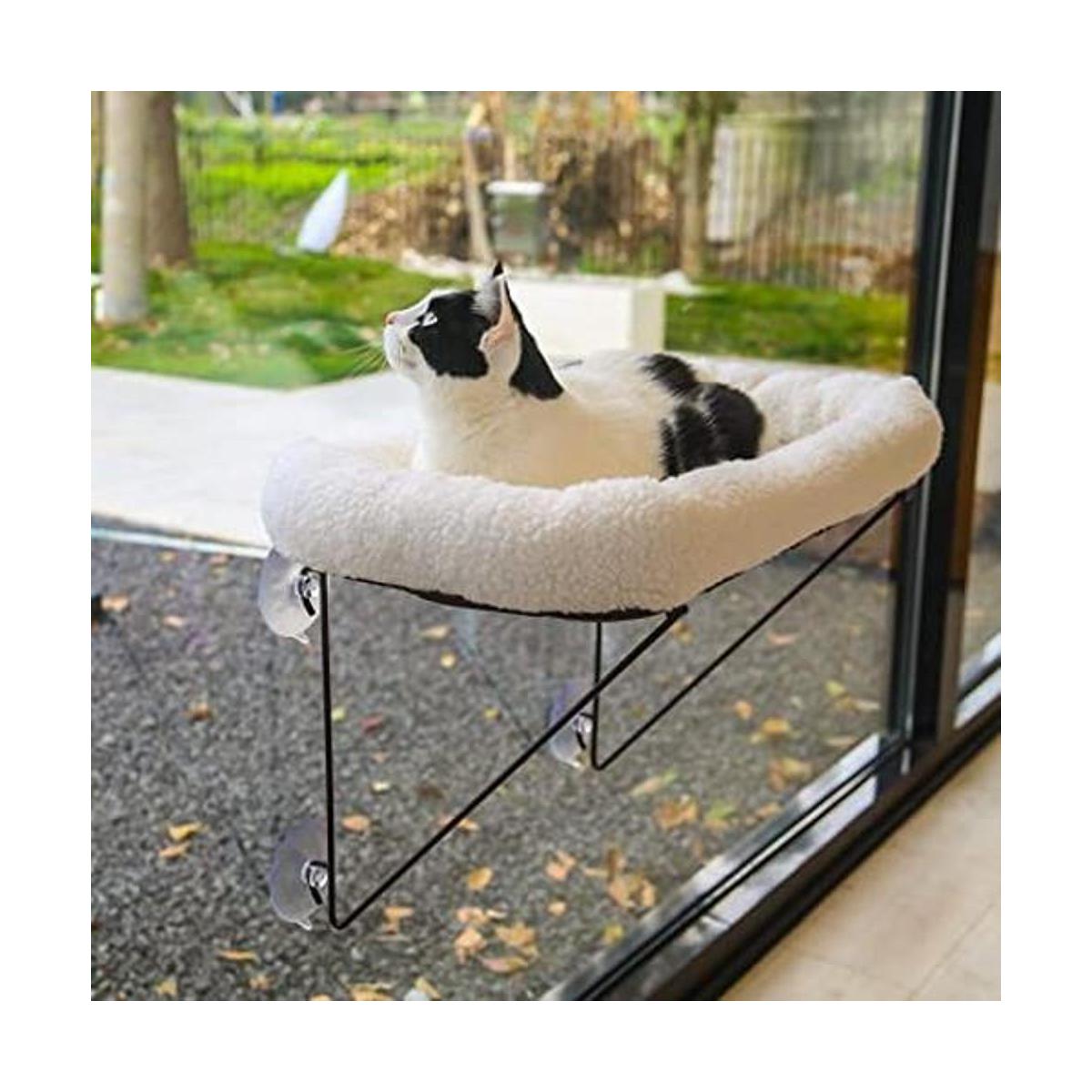 Zakkart Percha para ventana de gato para gatos de
