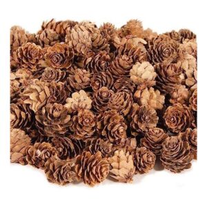 250 mini conos de pino naturales a granel adornos de cono