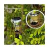 Paquete de 10 luces solares para botellas de vino con