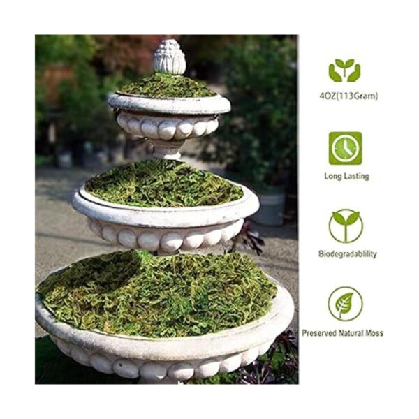 Musgo artificial de musgo falso para plantas en maceta