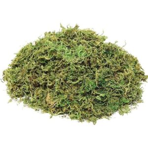 Musgo artificial de musgo falso para plantas en maceta