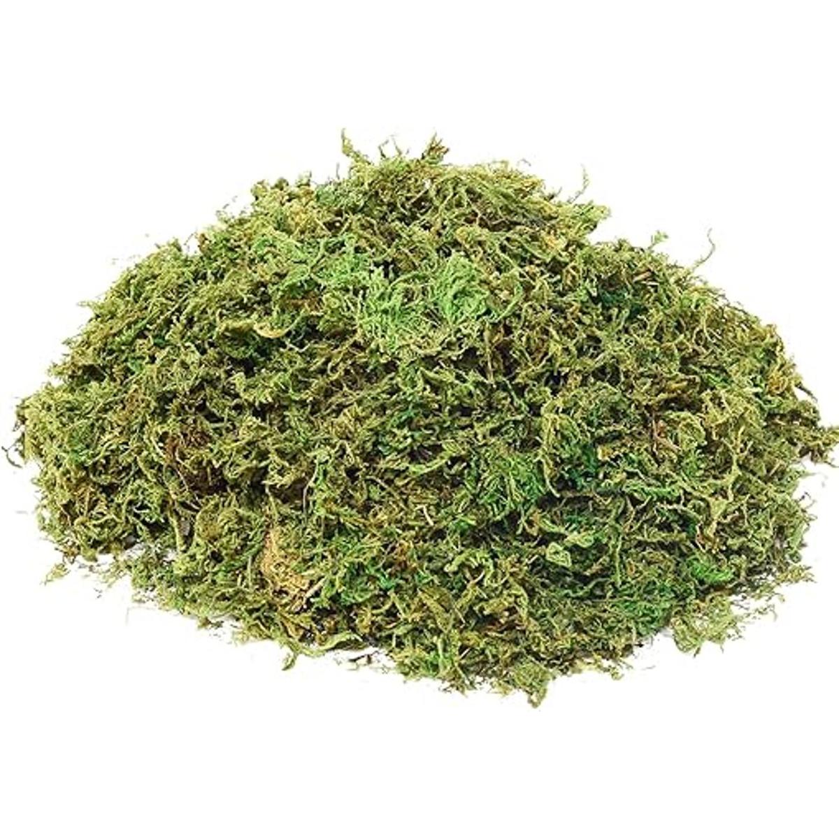 Musgo artificial de musgo falso para plantas en maceta