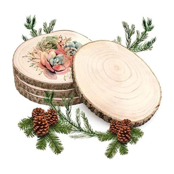 ZOCONE Rodajas de madera grandes 4 piezas redondas de