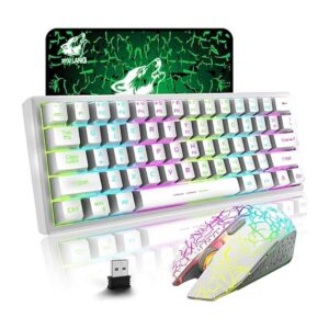 ZIYOU LANG T61 Combo de teclado y mouse inalámbricos para_1
