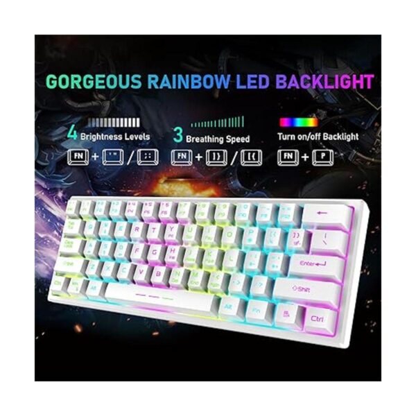 ZIYOU LANG T61 Combo de teclado y mouse inalámbricos para_3