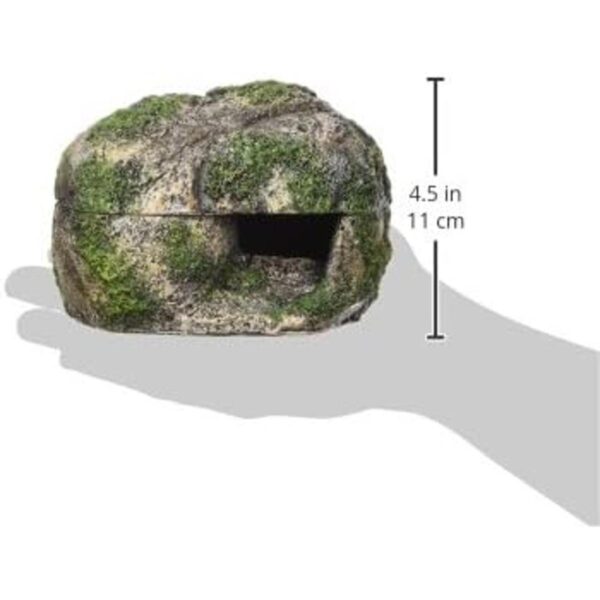 Zilla Rock Lair Sm_4