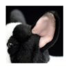 Simulation Juguete de peluche de bulldog francés