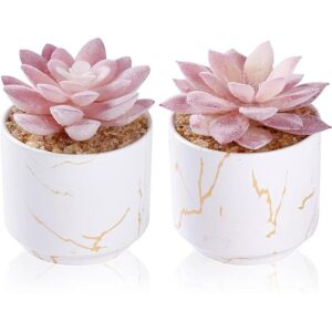 ZENIDA Plantas artificiales suculentas bonitas suculentas_1