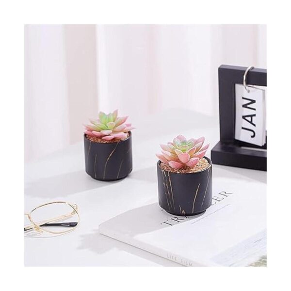 ZENMAG Mini plantas suculentas artificiales suculentas_3