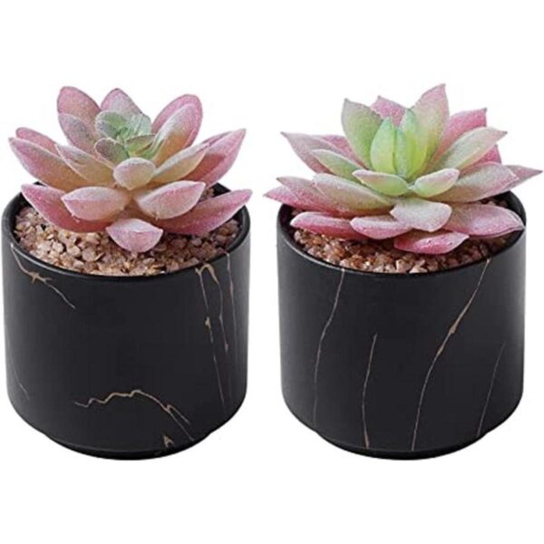 ZENMAG Mini plantas suculentas artificiales suculentas_1
