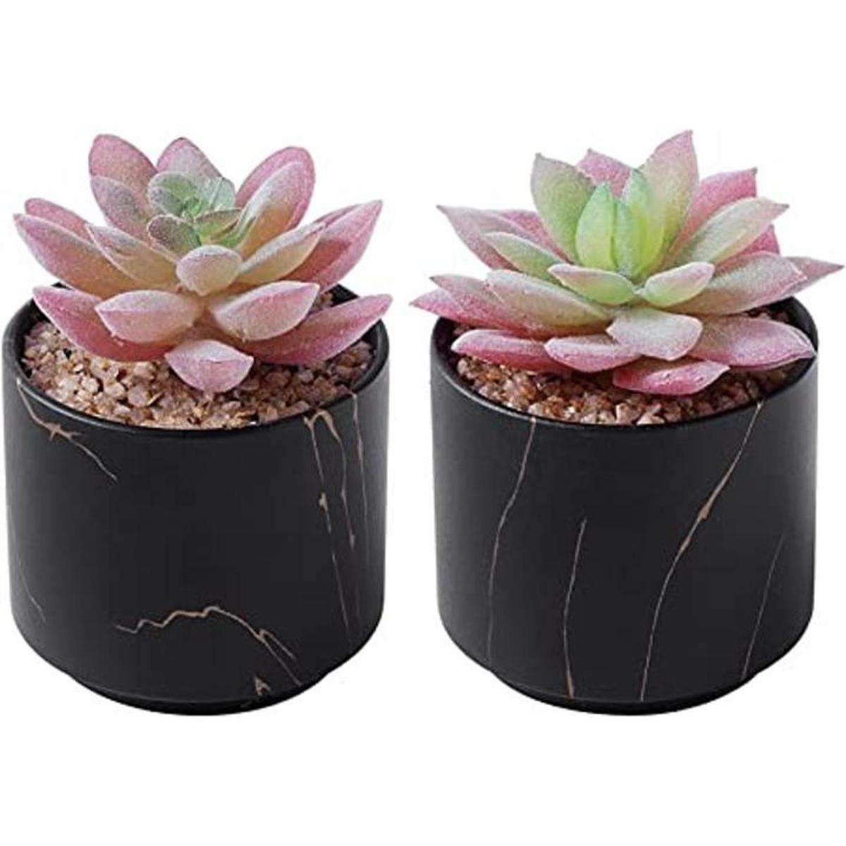ZENMAG Mini plantas suculentas artificiales suculentas