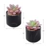 ZENMAG Mini plantas suculentas artificiales suculentas_2