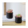 ZENMAG Mini plantas suculentas artificiales suculentas_4