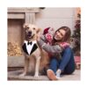 ZARYIEEO Conjunto de esmoquin para perro traje de fiesta