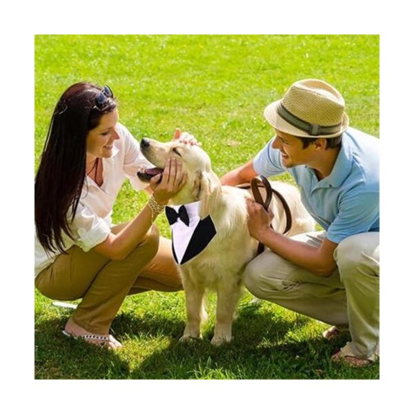 ZARYIEEO Conjunto de esmoquin para perro traje de fiesta