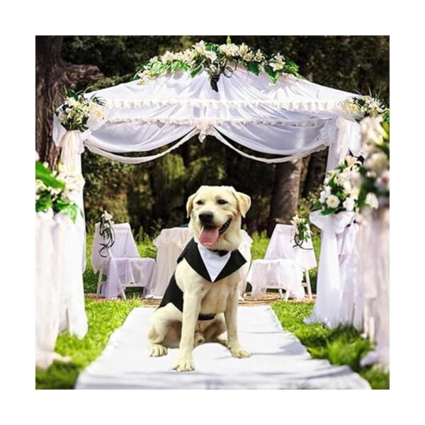 ZARYIEEO Conjunto de esmoquin para perro traje de fiesta