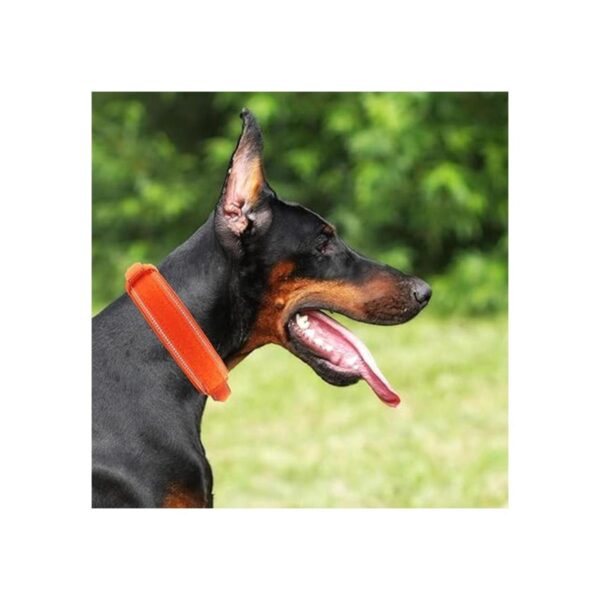 Yunleparks Collar táctico de nailon reflectante con