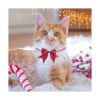 100 lazos para perros a granel con collar ajustable