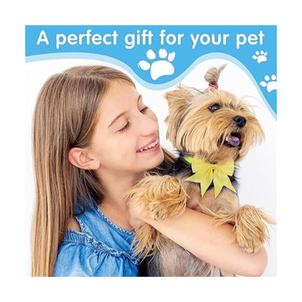 100 lazos para perros a granel con collar ajustable