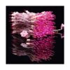 YULETIME Luces LED rosas de Navidad con cable rosa 66_2