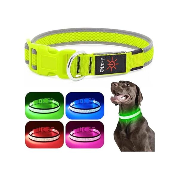 HiGuard Collar LED para perro luces LED recargables por_2