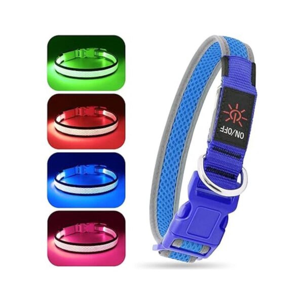 BSEEN Collares de perro iluminados collar LED recargable
