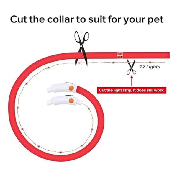 Illumifun Collar de perro con luz collar de gato LED de