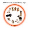 Illumifun Light Up Dog Collars Rechargeable LED Dog
