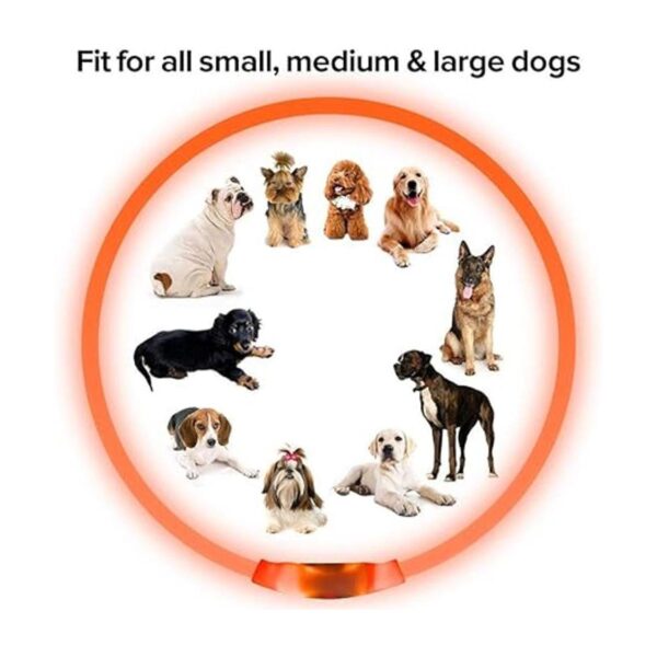 Illumifun Light Up Dog Collars Rechargeable LED Dog
