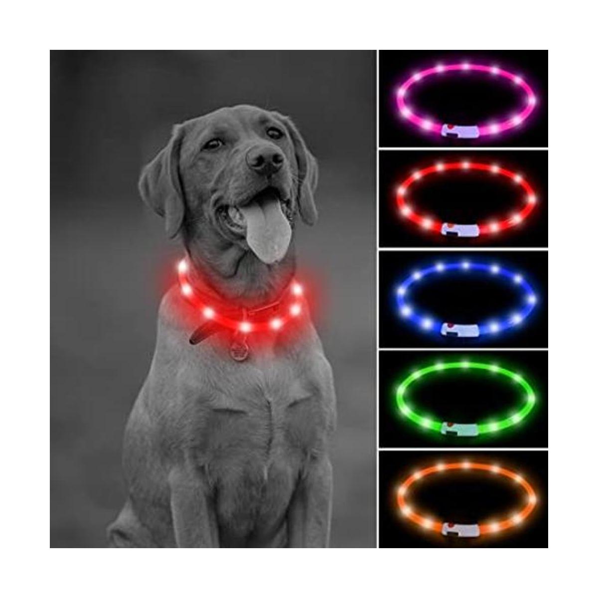 Illumifun Collar de perro con luz collar de gato LED de