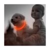Illumifun Light Up Dog Collars Rechargeable LED Dog