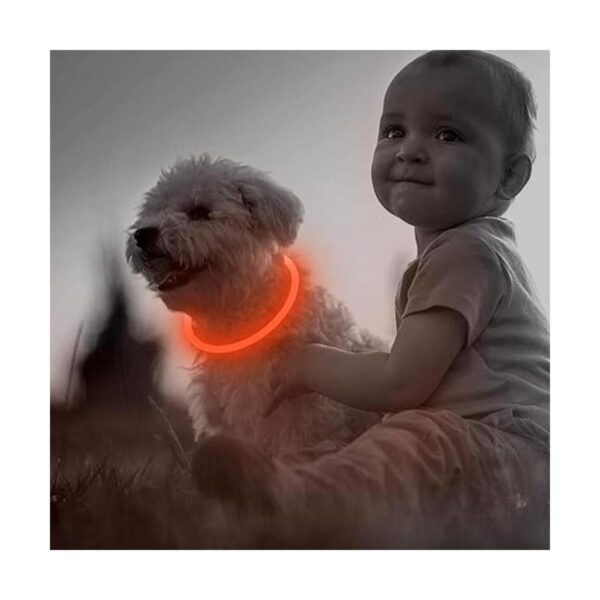 Illumifun Light Up Dog Collars Rechargeable LED Dog