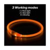 Illumifun Light Up Dog Collars Rechargeable LED Dog