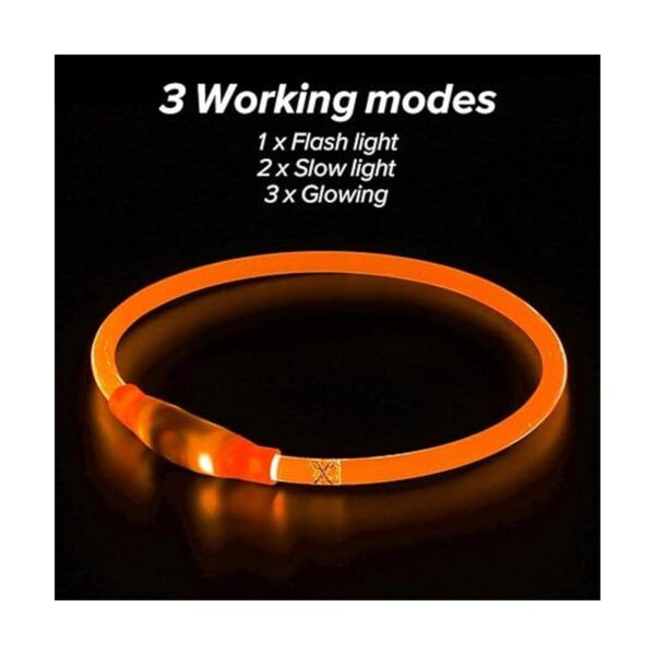 Illumifun Light Up Dog Collars Rechargeable LED Dog