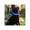 BSEEN Collares de perro iluminados collar LED recargable