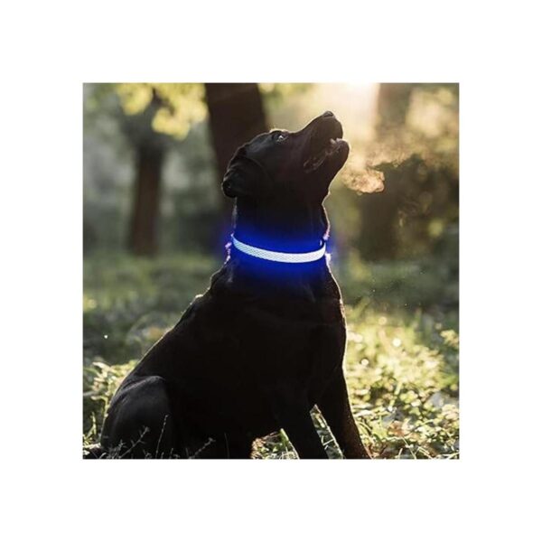 BSEEN Collares de perro iluminados collar LED recargable