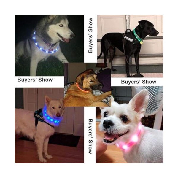 Illumifun Collar de perro con luz collar de gato LED de