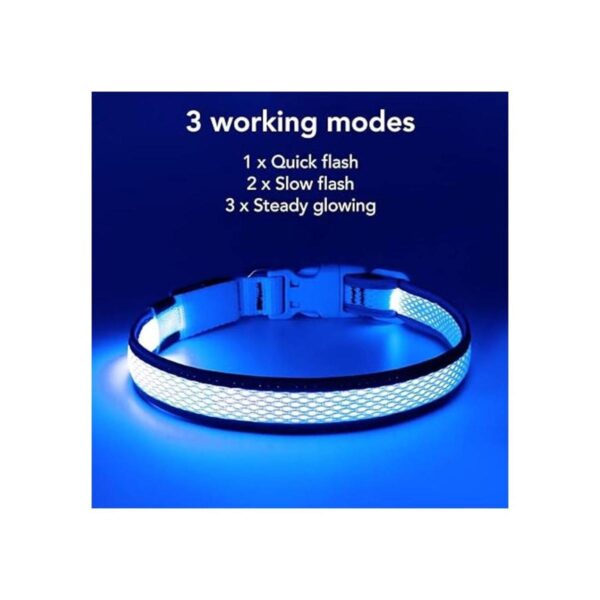 BSEEN Collares de perro iluminados collar LED recargable