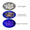 Linterna LED UV Convoy C8 365 nm con filtro de vidrio_3